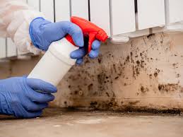 Why You Should Choose Our Mold Remediation Services in Slater, IA